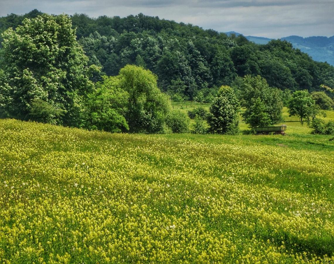 Pensiunea Deceneu Slănic Dış mekan fotoğraf