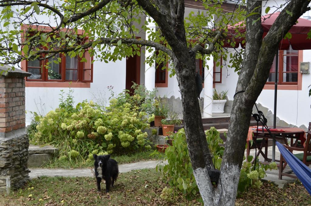 Pensiunea Deceneu Slănic Dış mekan fotoğraf